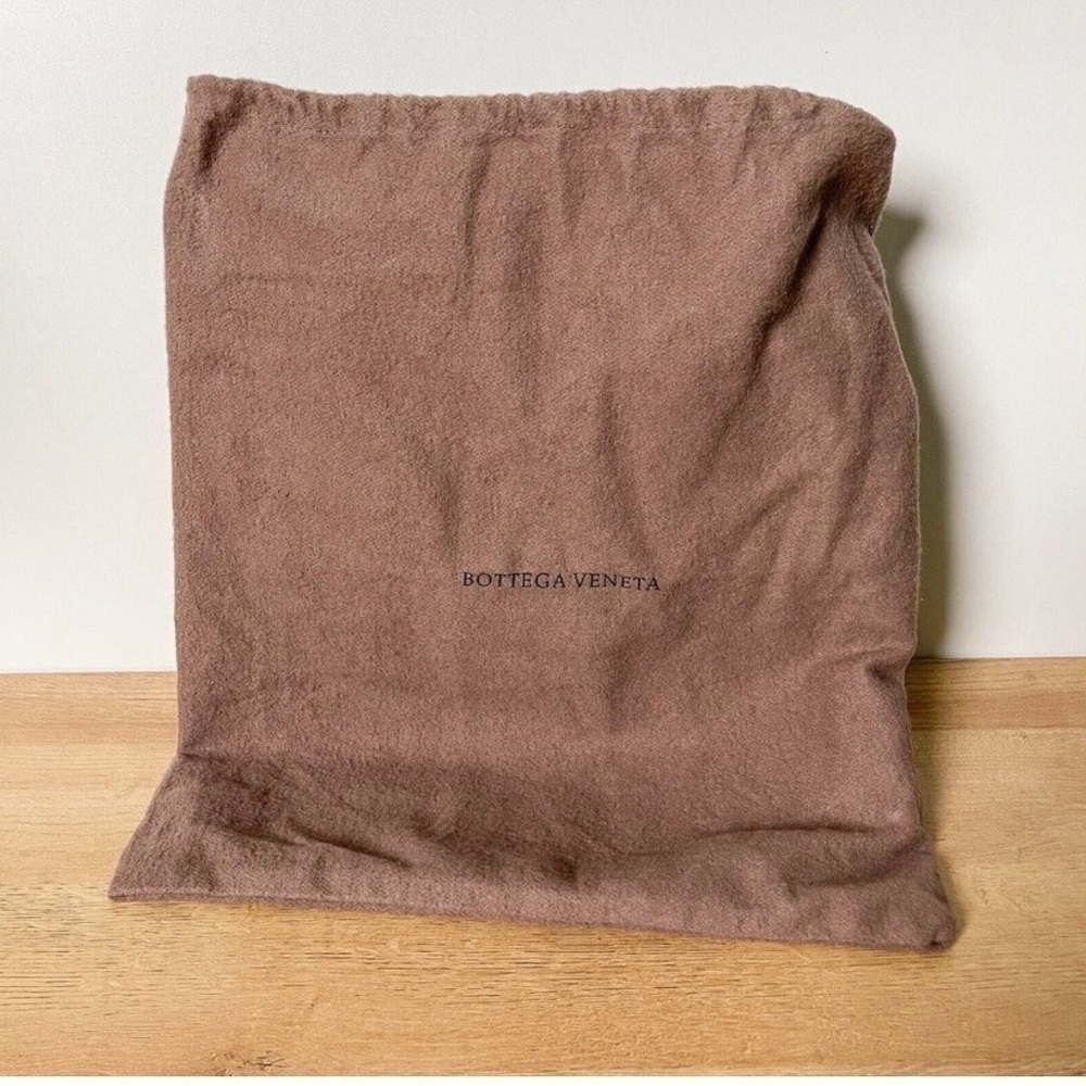 Bottega Veneta Natural Anaconda Loop Bag - Picture 10 of 10